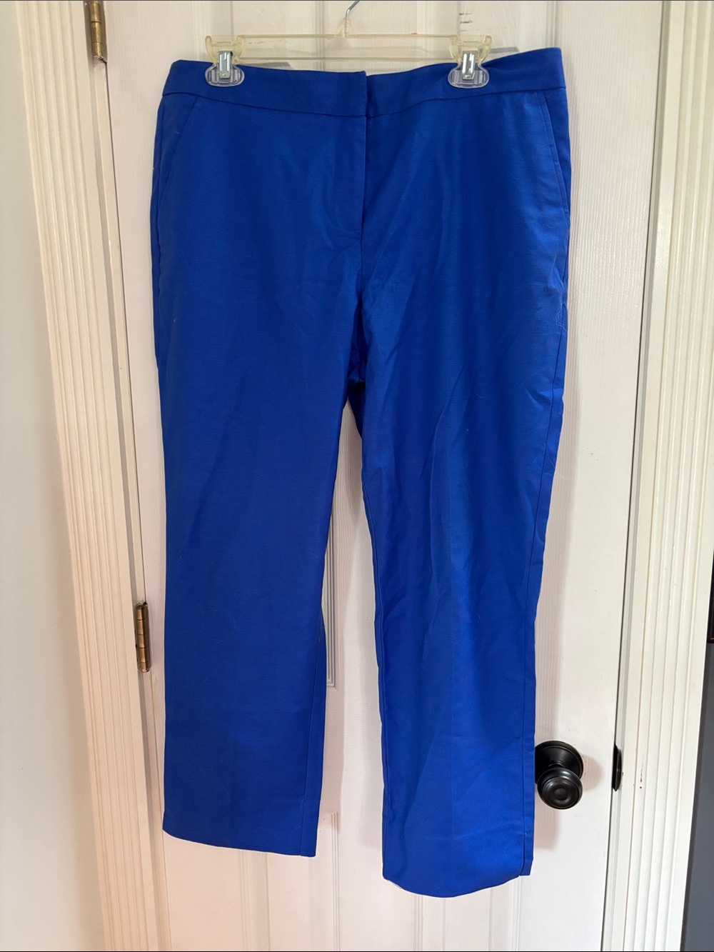 Dana Buchman Cobalt Blue Capri Pants